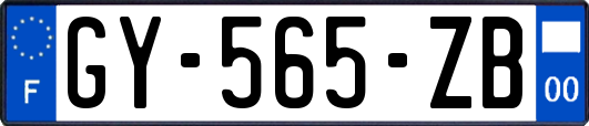 GY-565-ZB