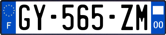 GY-565-ZM