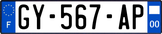 GY-567-AP