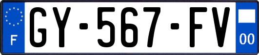 GY-567-FV