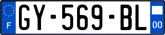 GY-569-BL
