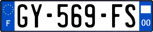 GY-569-FS