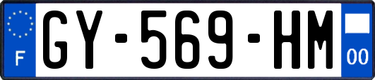 GY-569-HM