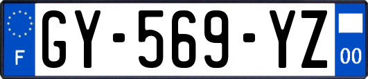 GY-569-YZ