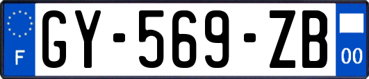 GY-569-ZB