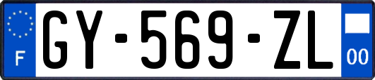 GY-569-ZL
