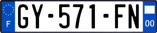GY-571-FN
