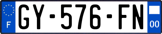 GY-576-FN