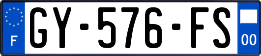 GY-576-FS