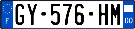 GY-576-HM