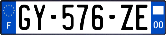 GY-576-ZE