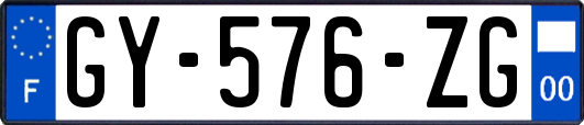 GY-576-ZG