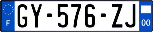 GY-576-ZJ