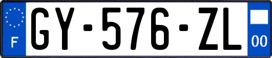 GY-576-ZL