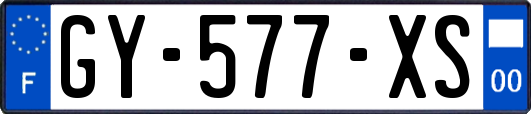 GY-577-XS