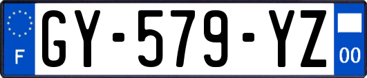 GY-579-YZ