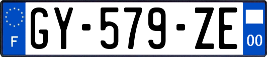 GY-579-ZE