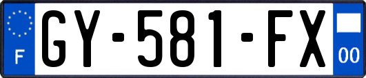 GY-581-FX