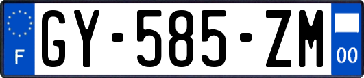 GY-585-ZM