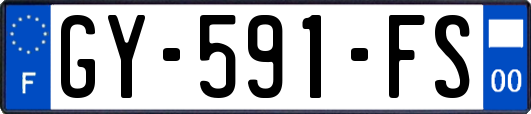 GY-591-FS