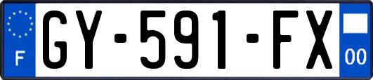 GY-591-FX