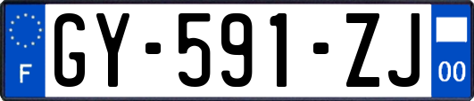 GY-591-ZJ