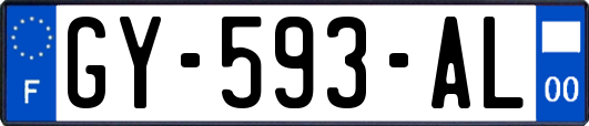 GY-593-AL