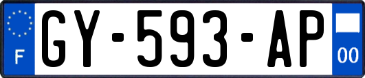 GY-593-AP