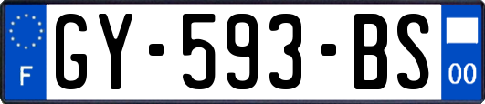 GY-593-BS