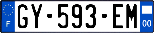GY-593-EM