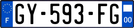 GY-593-FG