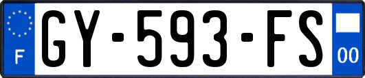 GY-593-FS