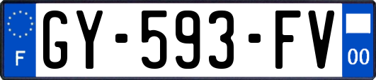 GY-593-FV