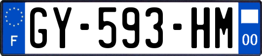 GY-593-HM