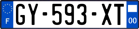 GY-593-XT