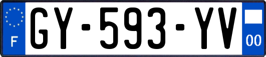 GY-593-YV