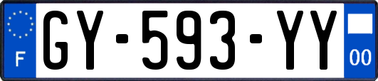 GY-593-YY