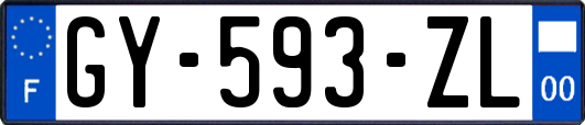 GY-593-ZL