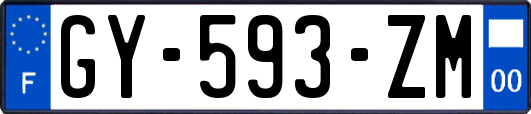 GY-593-ZM