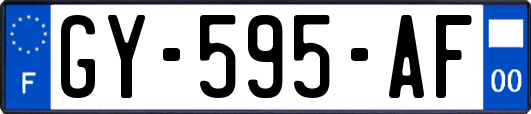 GY-595-AF