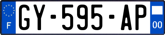 GY-595-AP