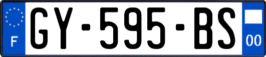 GY-595-BS