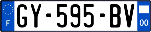 GY-595-BV