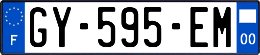 GY-595-EM