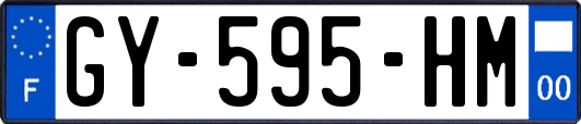 GY-595-HM