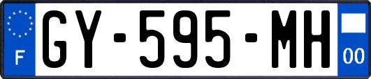 GY-595-MH