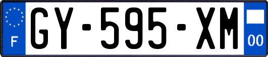 GY-595-XM