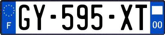 GY-595-XT