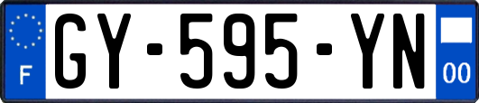 GY-595-YN
