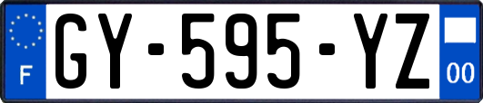 GY-595-YZ